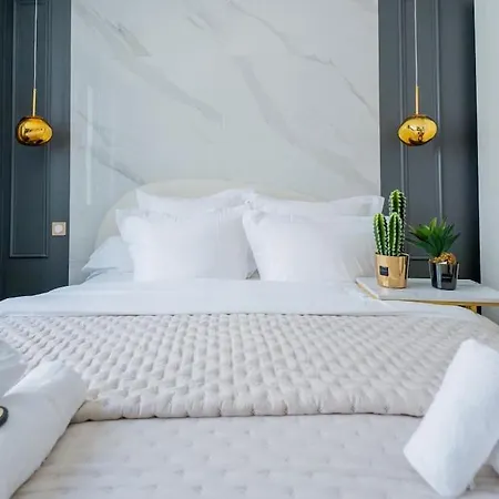 Luxurious With Stylish Design And Comfort - 104 * 파리